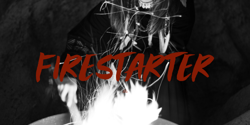 FIRESTARTER - Authentic Business Model course